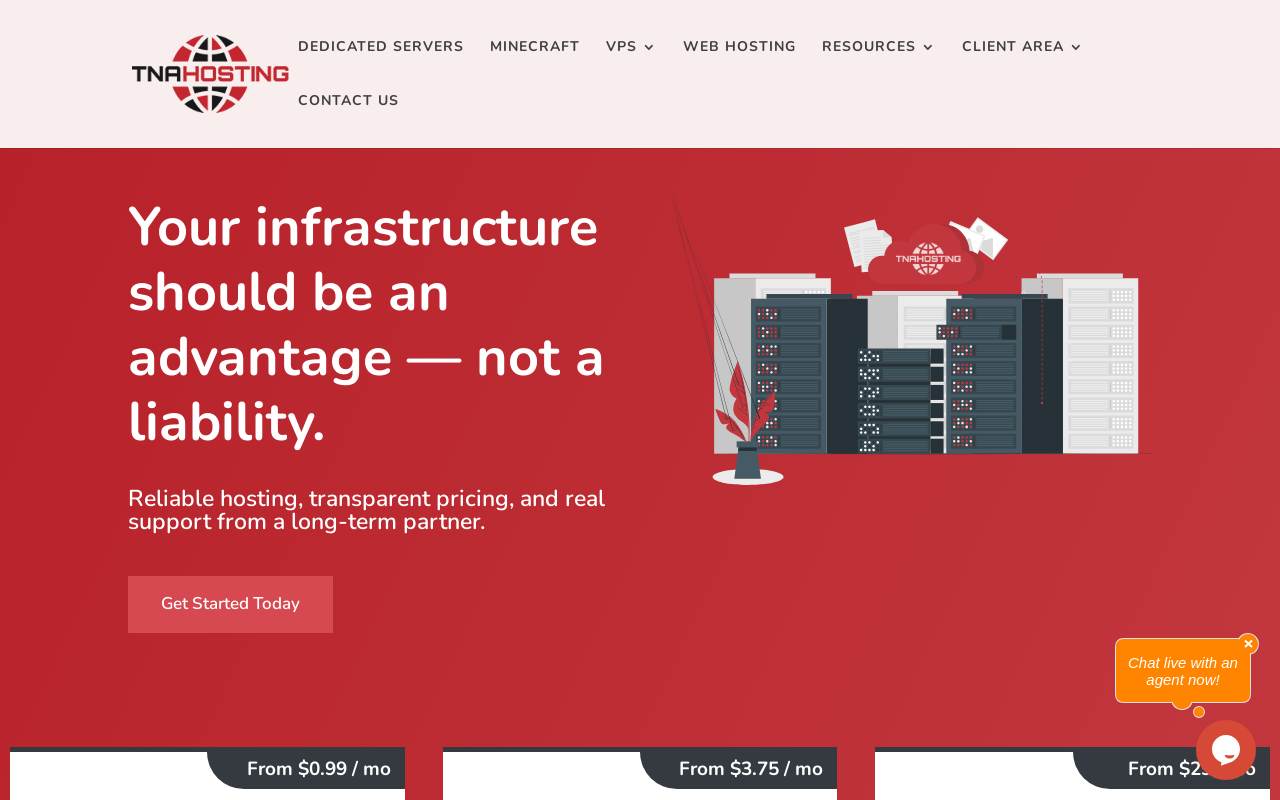 TNAHosting 官网截图